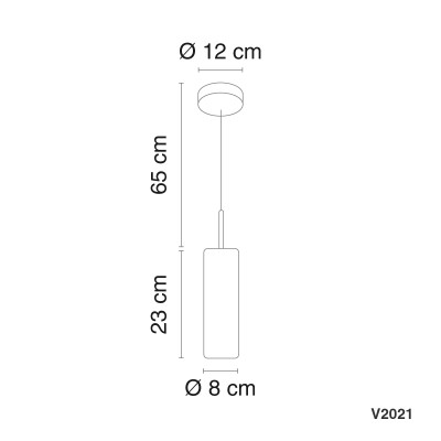 V2021