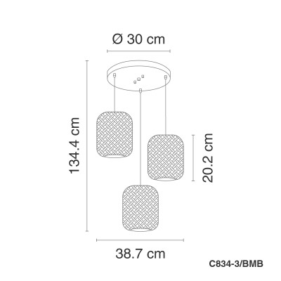 C834-3/BMB