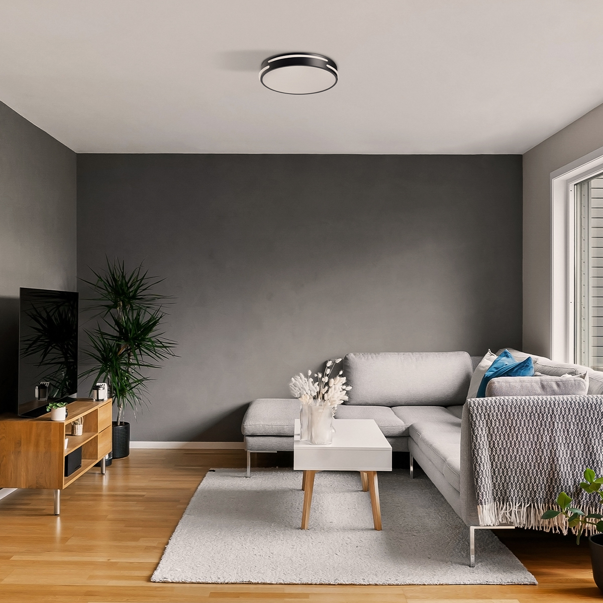 Aplicación DLP096LED-F/NE